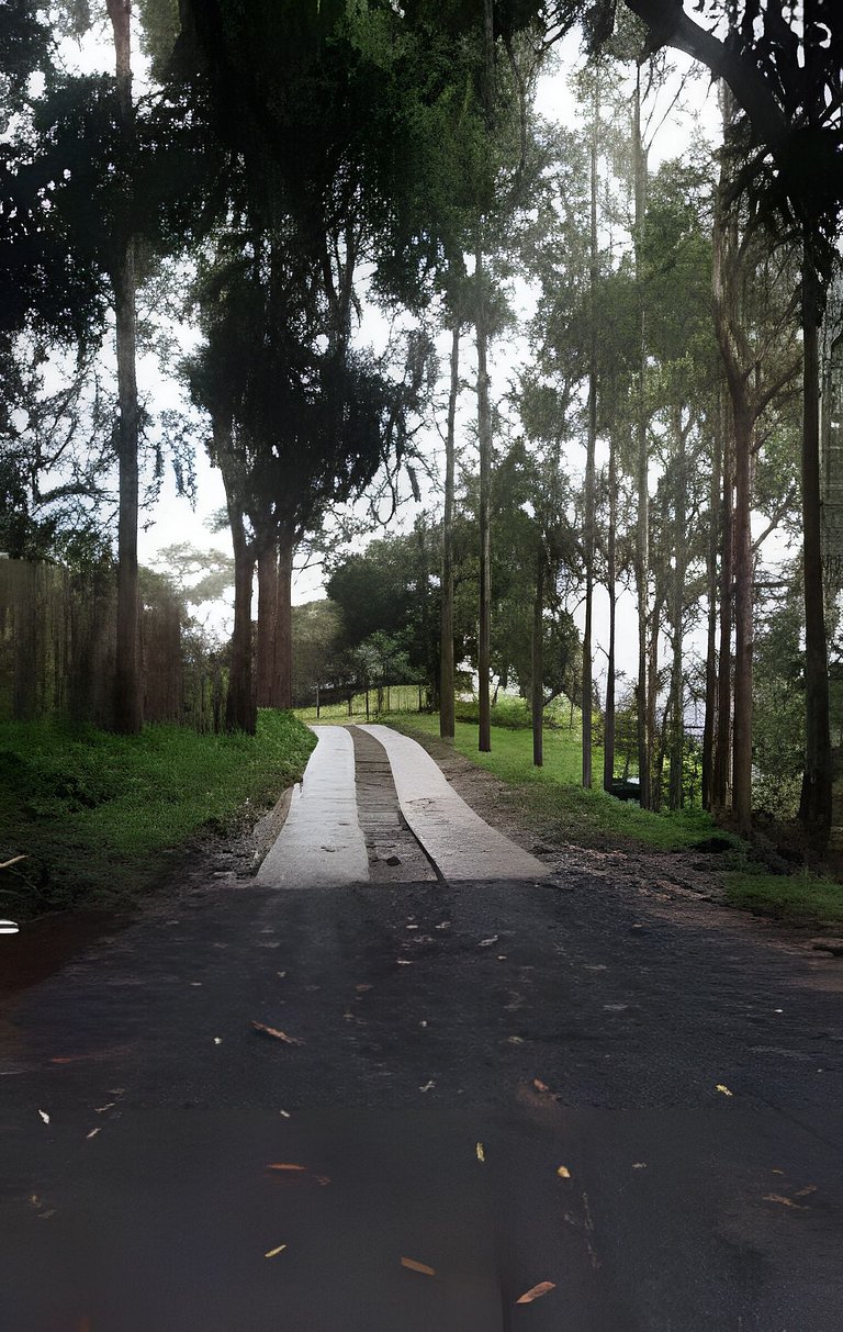 Restart Homes Casa na árvore ofurô vista montanhas