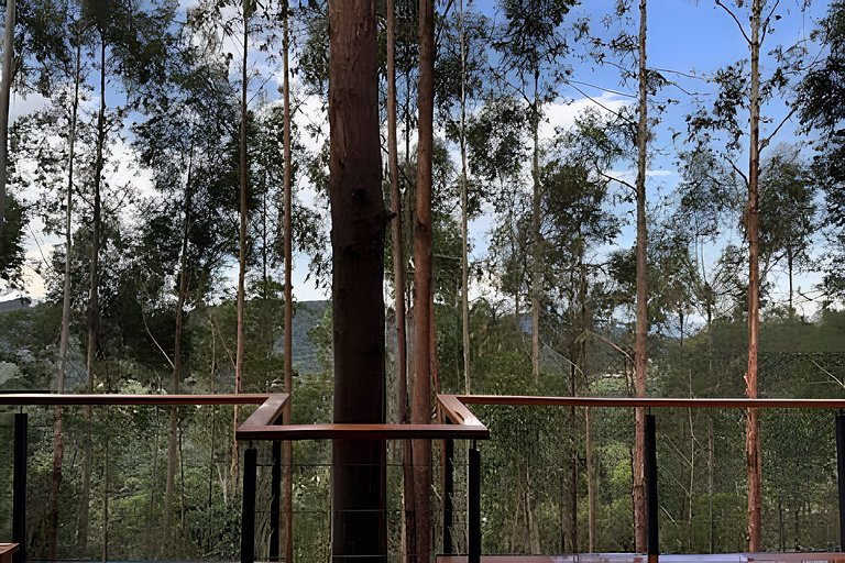 Casa Árvore | Refúgio na Mantiqueira