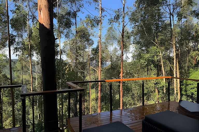 Casa Árvore | Refúgio na Mantiqueira