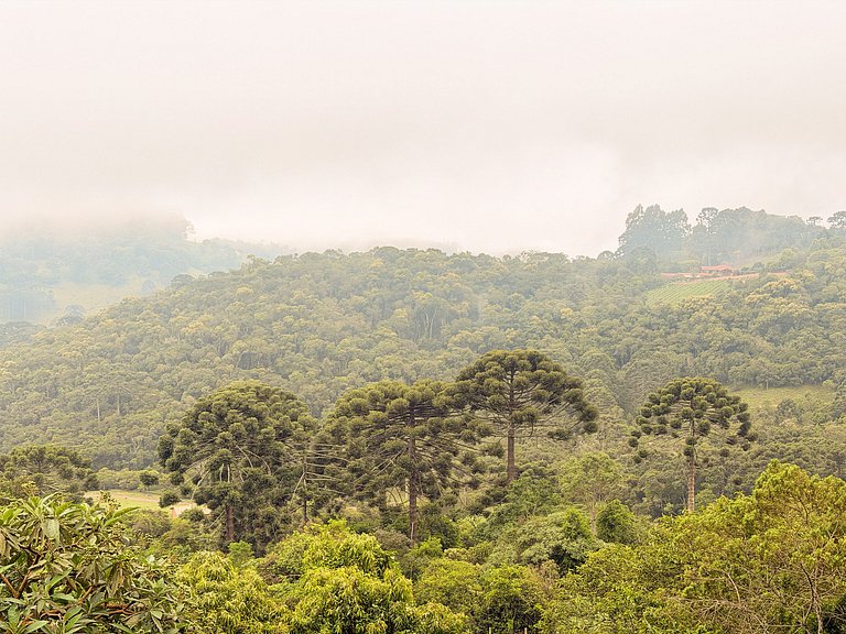 Casa Pedra | Refúgio na Mantiqueira